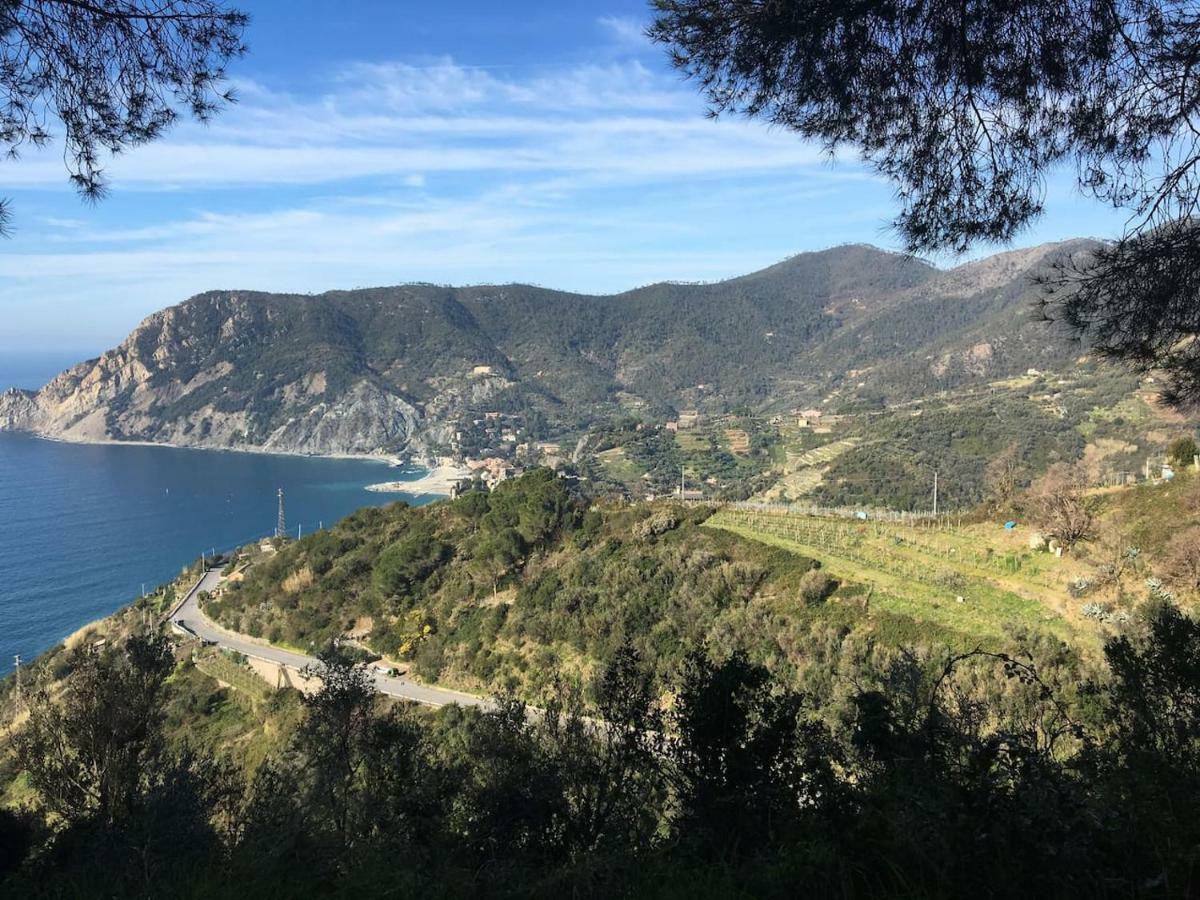 La Terrazza Di Monterosso Lägenhet Monterosso al Mare Exteriör bild