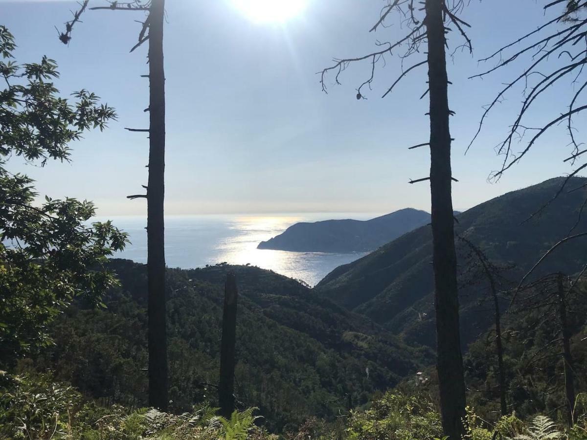 La Terrazza Di Monterosso Lägenhet Monterosso al Mare Exteriör bild